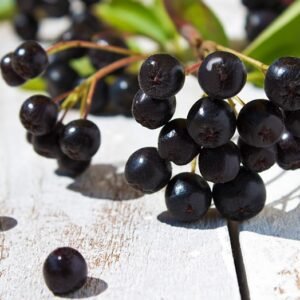Chokeberry/Aronia Berry