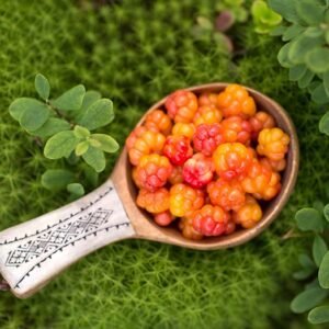Cloudberry