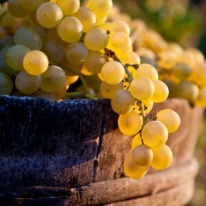 Grapes