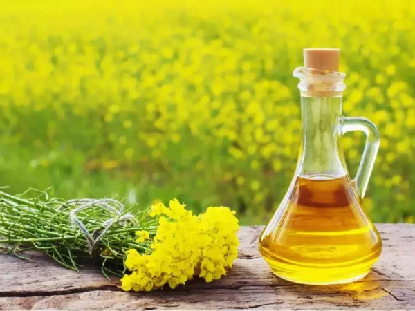 Mustard Oil - Image 5