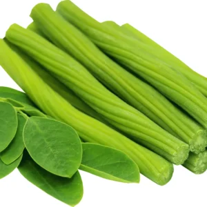 Moringa Drumstick