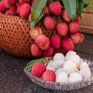 Indian Bengal Lychee